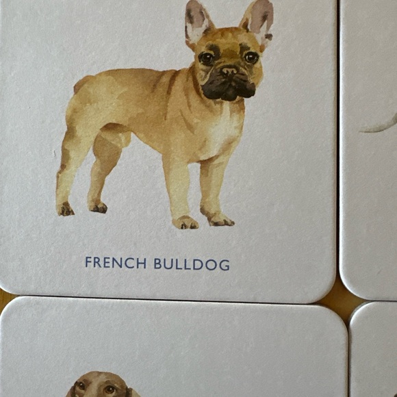 Laurence King Dog Coasters. Set of 16. New in Box - Picture 8 of 12